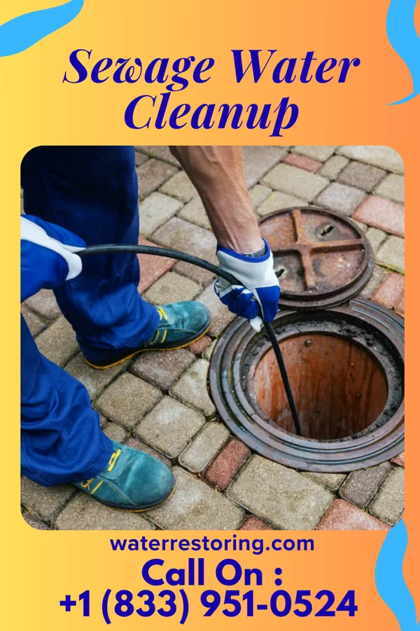 Sewage Water Cleanup in Marineland, FL